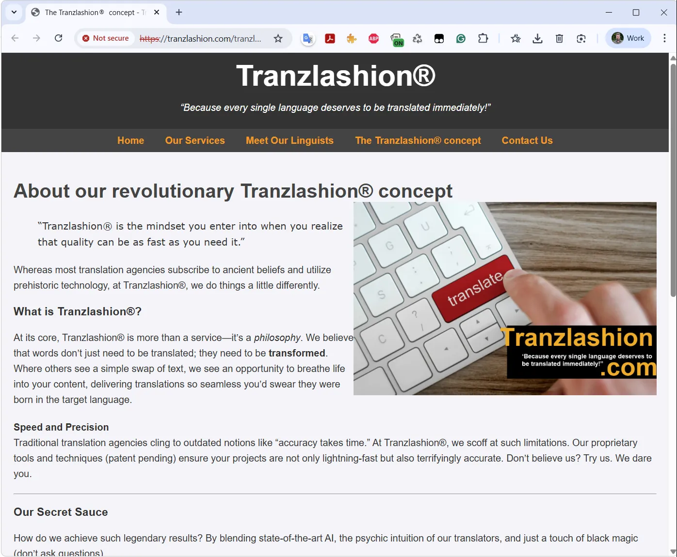 Tranzlashion homepage